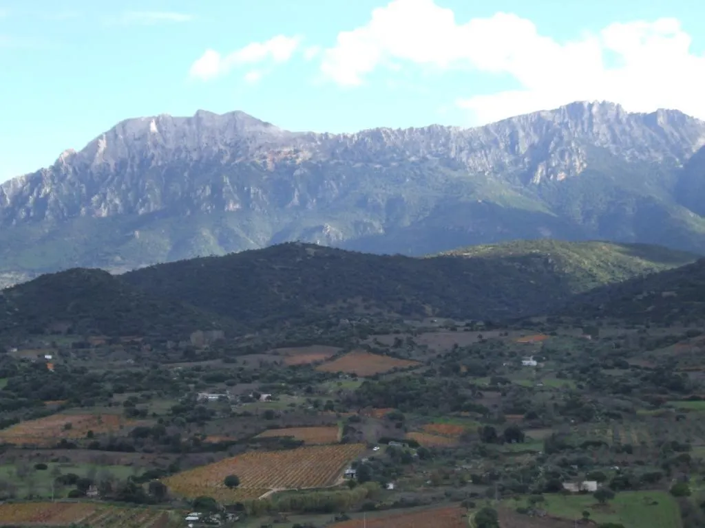 Agriturismo Locoe Oliena 0*,  Italien