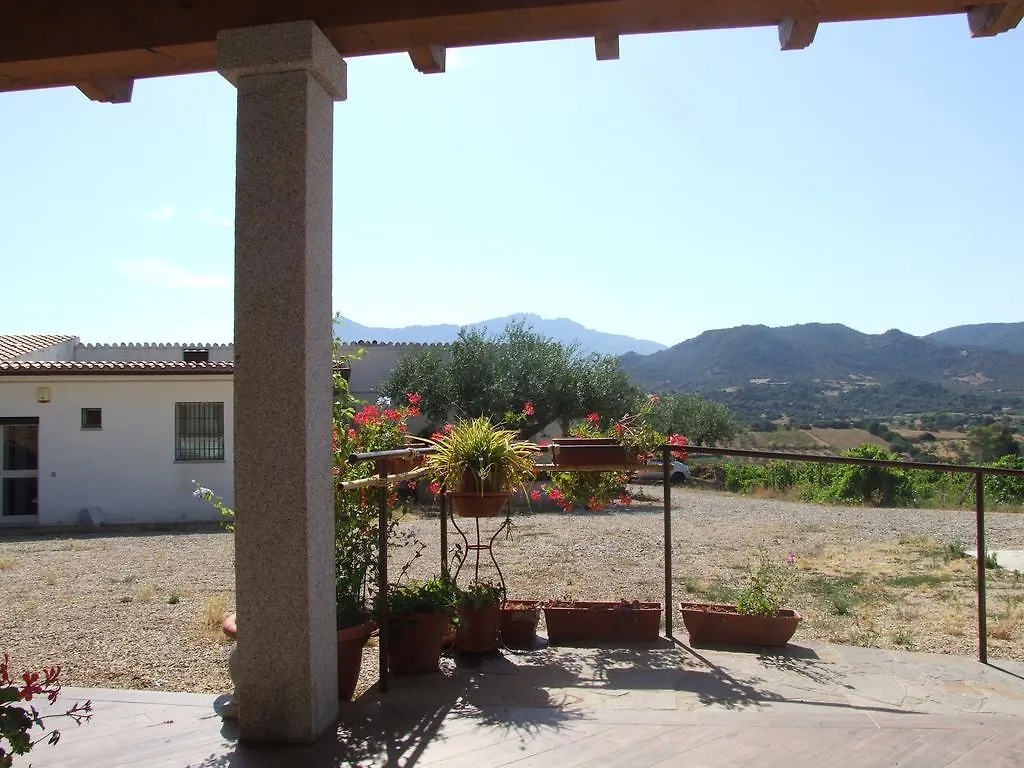 Bauernhof Agriturismo Locoe Oliena Italien
